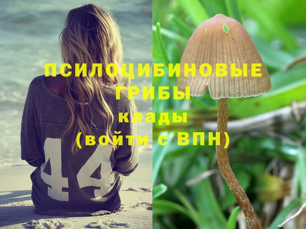 каннабис Алексин