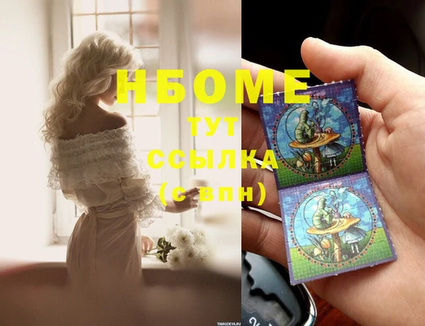 гидропоника Алзамай