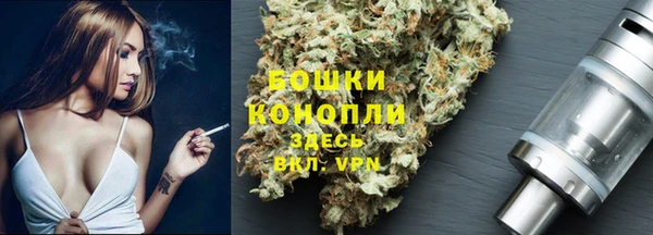 гидропоника Алзамай