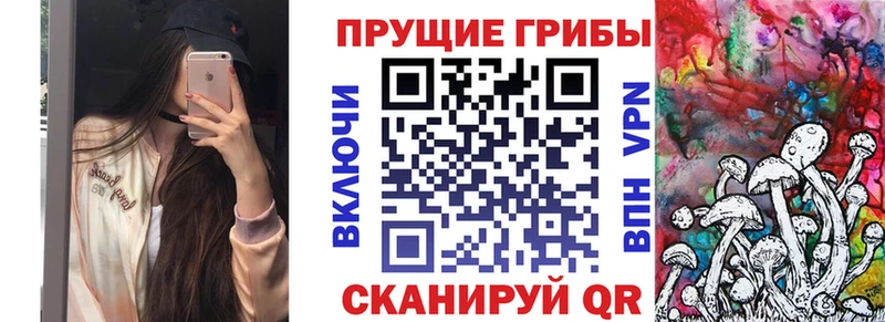 KRAKEN вход  Артёмовский  Галлюциногенные грибы GOLDEN TEACHER 